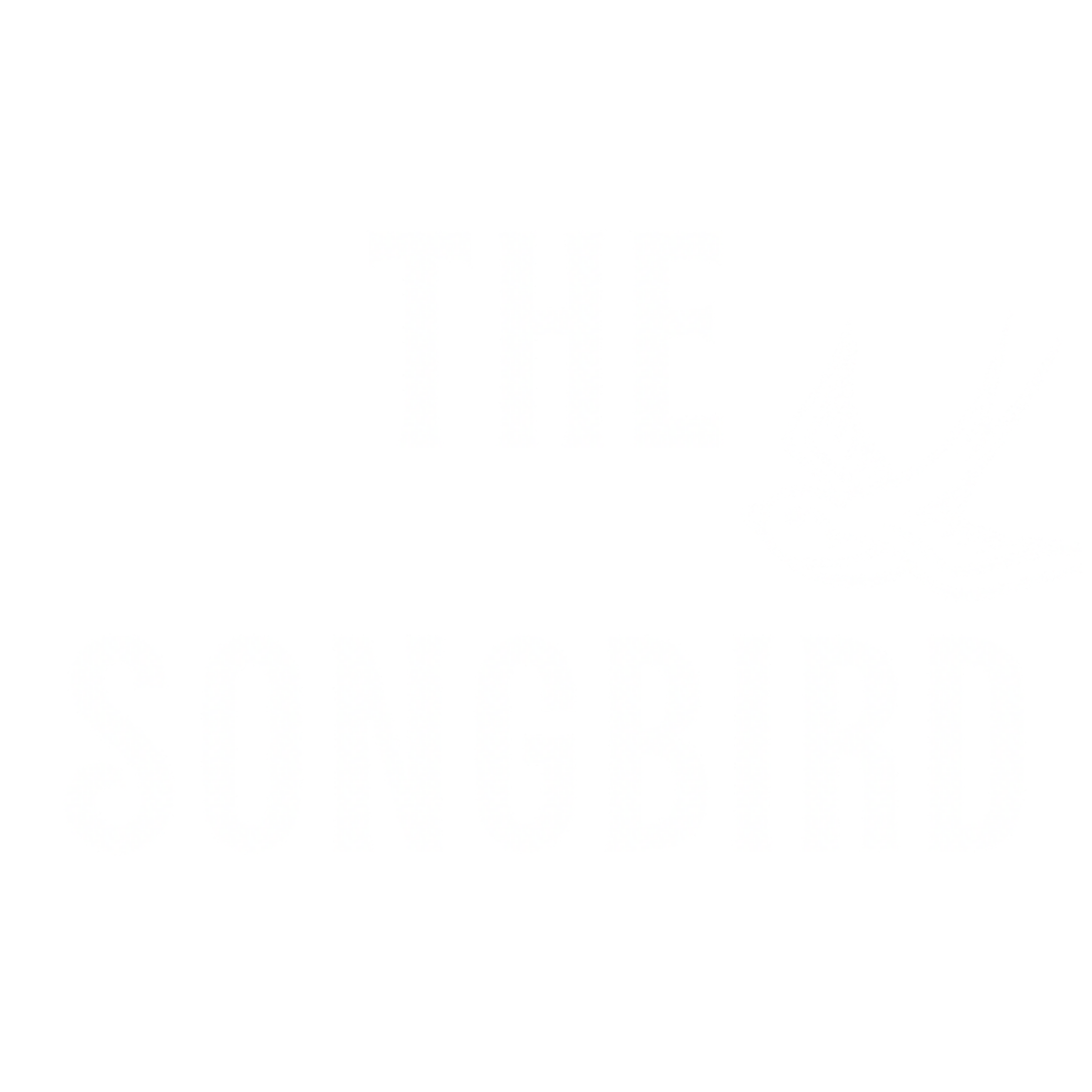 T H E    S O N G B I R D 